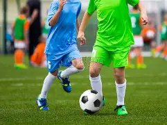 解码中央农,村工作会议,关键要点,乐竞体育,乐竞体育官网,乐竞体育官方,乐竞体育下载