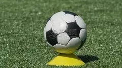 乐竞体育 资讯 084110 pm3