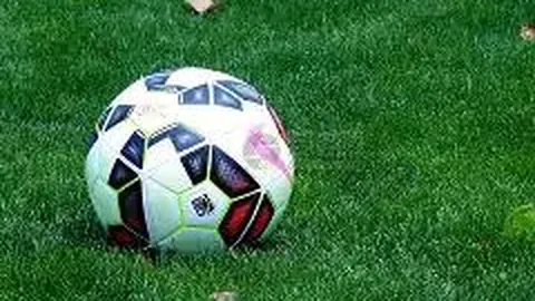 谢霆锋哈尔滨铁锅炖受欢迎，店员赞其帅气亲和，热情互动合影留念