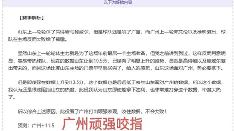 黄雅琼王昶：并肩同行，畅谈混双征程